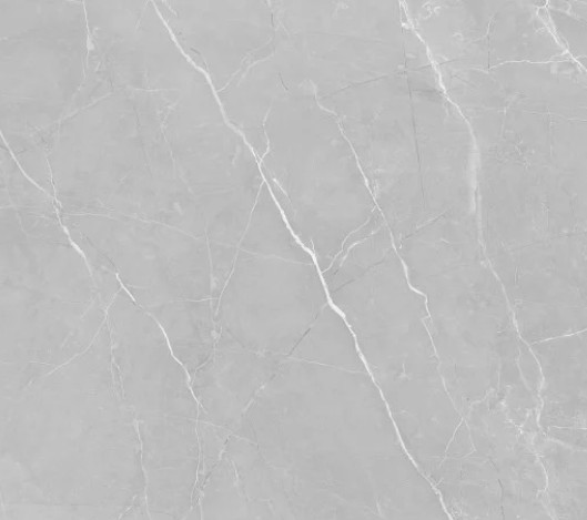 GRANITO 60X60 INSKRIB SELVA
